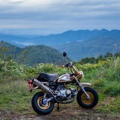 ホンダ ゴールド モンキー リミテッド Z50Jの画像