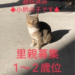 人慣れしている小柄な女の子です♣︎