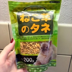 猫草の種2個の画像