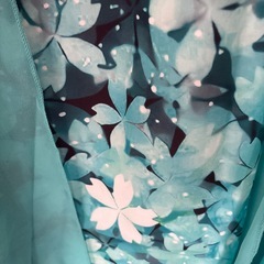 ワンピースの画像