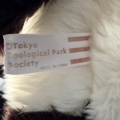 上野動物園　パンダぬいぐるみの画像