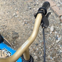 d-bike ディーバイク キックバイク 　の画像