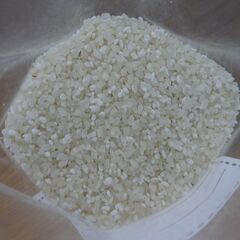 (新米)兵庫県産 産地直送 R7年度産山田錦くず米 玄米 無農薬玄30kgの画像