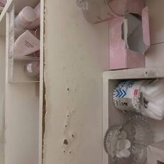 棚４つ無料の画像