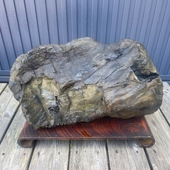 珪化木 化石木 約18k 台座付き　引取限定の画像