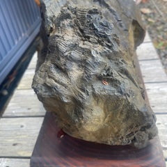 珪化木 化石木 約18k 台座付き　引取限定の画像