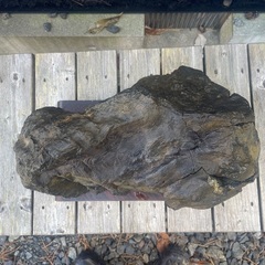 珪化木 化石木 約18k 台座付き　引取限定の画像