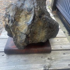 珪化木 化石木 約18k 台座付き　引取限定の画像