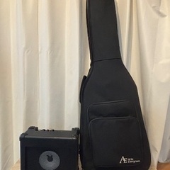 ベース　AriaProII STB-AE200 の画像