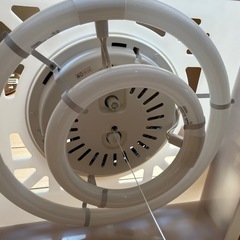 和風　照明器具②の画像