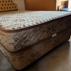 セミダブルベットの画像