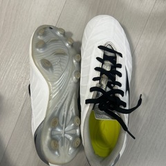 サッカースパイク22.0の画像