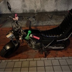 エイプ50の画像