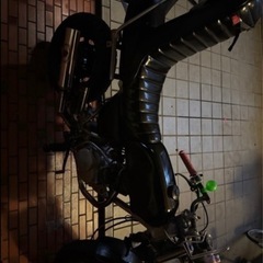 エイプ50の画像