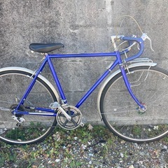 ブリジストンのロードマンの画像