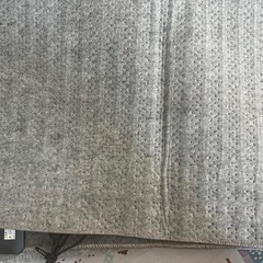 電気カーペットの画像