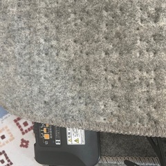 電気カーペットの画像
