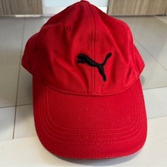 【値引交渉OK】ゴルフバッグ　帽子・手袋付きの画像