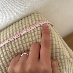 ソファ　カバー付きの画像