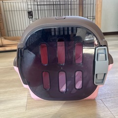 犬のクレートの画像