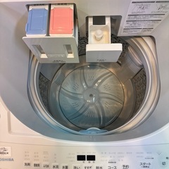 【ジャングルジャングル貝塚店】洗濯機　東芝　AW-8DP4 2024年製　大容量　ZABOON 8kg ファミリー　家電　便利　自動投入　高年式　ラク　キレイ　オシャレ　かわいい　節水　多機能　ふろ水　貝塚　二色浜　クリーニング済みの画像