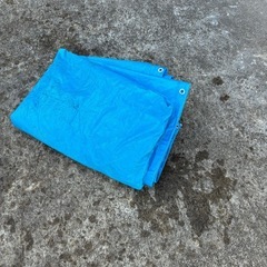 ブルーシート(中古)の画像