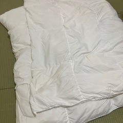 ホテルスタイル掛け布団NホテルS
の画像