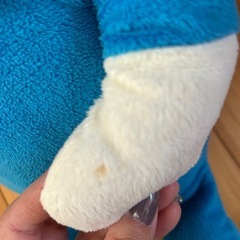 こきんちゃんの画像