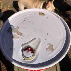 モチュール　　DL1オイルの画像