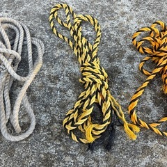 荷造り用ロープの画像