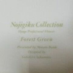 中皿（ペア、磁器、のじぎくのデザイン）の画像