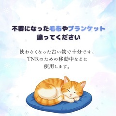 不要になった毛布やブランケット