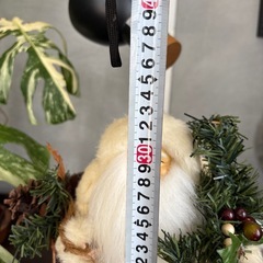 🌲サンタクロースの画像