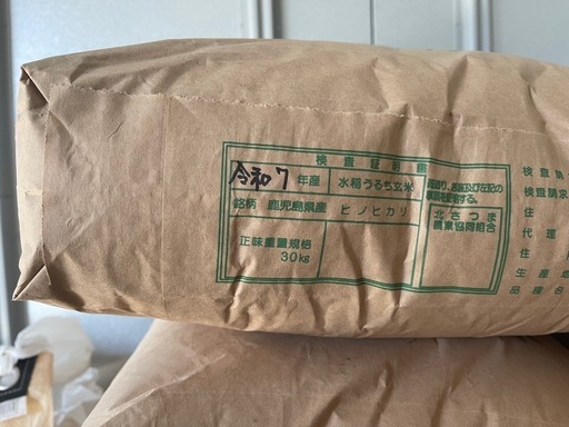 新米　伊佐特等米　　