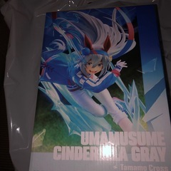 アニメ『ウマ娘 シンデレラグレイ』 BANPRESTO EVOLVE タマモクロスフィギュアの画像