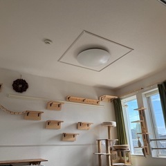 跡が目立たないから賃貸OK！DIYキャットウォーク/キャットステップ大量セットの画像