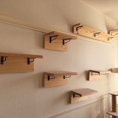 跡が目立たないから賃貸OK！DIYキャットウォーク/キャットステップ大量セットの画像