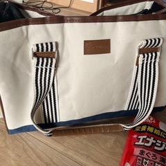 ねこちゃんセット（キャリーケースとチュールなど）の画像