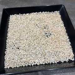 R7年　登米市産　ひとめぼれ　60kg（30kg×2）の画像