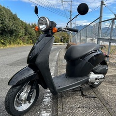 ★格安★軽整備済み　ホンダ　トゥデイ　50CC
の画像