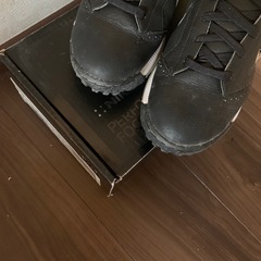 NIKEゴルフシューズの画像