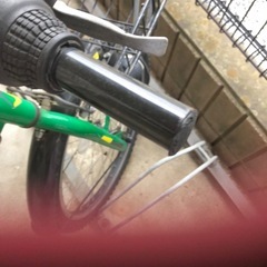 自転車　　　男子の画像