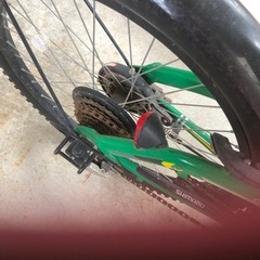 自転車　　　男子の画像