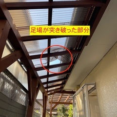 波板張り替え（交換）