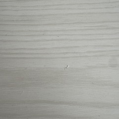 折り畳みテーブル　ニトリ　ホワイトウォッシュの画像