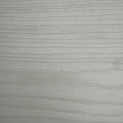 折り畳みテーブル　ニトリ　ホワイトウォッシュの画像