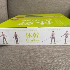 体幹クッションの画像