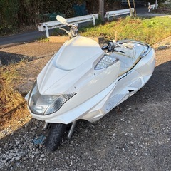 マグザムの画像