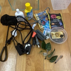 無料で譲ります！ベタの飼育セット水槽3つエサ、ヒーターなどの画像