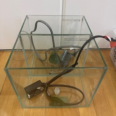 無料で譲ります！ベタの飼育セット水槽3つエサ、ヒーターなどの画像